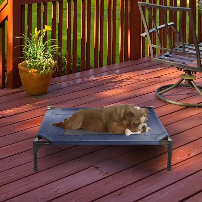 Petmaker Elevated Dog Bed 36X30 Portable Black Waterproof For Pets Up To