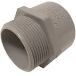 PVC Terminal Adapter, Electrical, 3/4-In. -E943ER-CTN