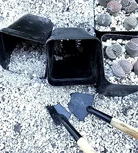 3 lb (Approximately 2 Quarts) Special Lithops Soil Mix Perfect Potting Medium ...