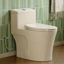 HOROW 1-Piece 0.8/1.28 GPF Dual Flush Elongated Toilet