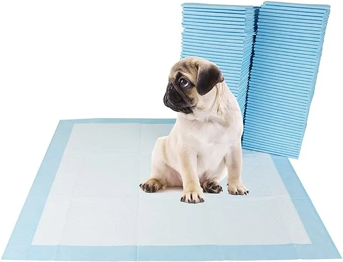 BV Pet Potty Training Pee Pads for Dogs, Puppy Training Pads, 22" x 22", 100-Count, 6 Pack (Total 600 Counts)