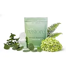 Spa Senses Shower Steamers 12 Pack Eucalyptus Mint Essential Oil USA Made ...