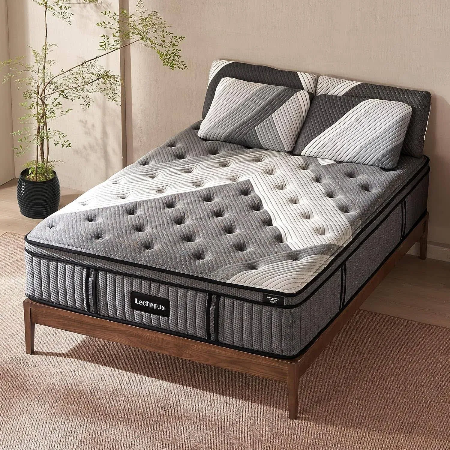 Lechepussleep Lechepus Queen Mattresses 14 inch Supportive Hybrid Mattress for Back Pain, Plush Bed in A Box, Memory Foam with Individual Pocket