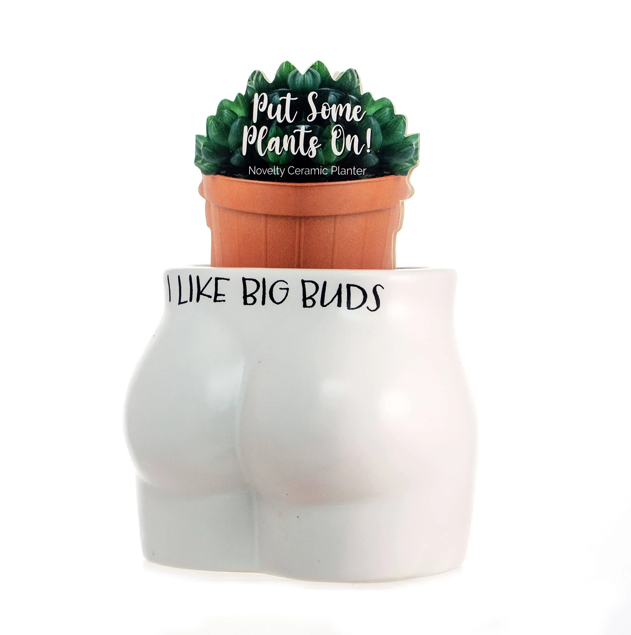 Boxer Gifts Put Some Plants on - I Like Big Buds