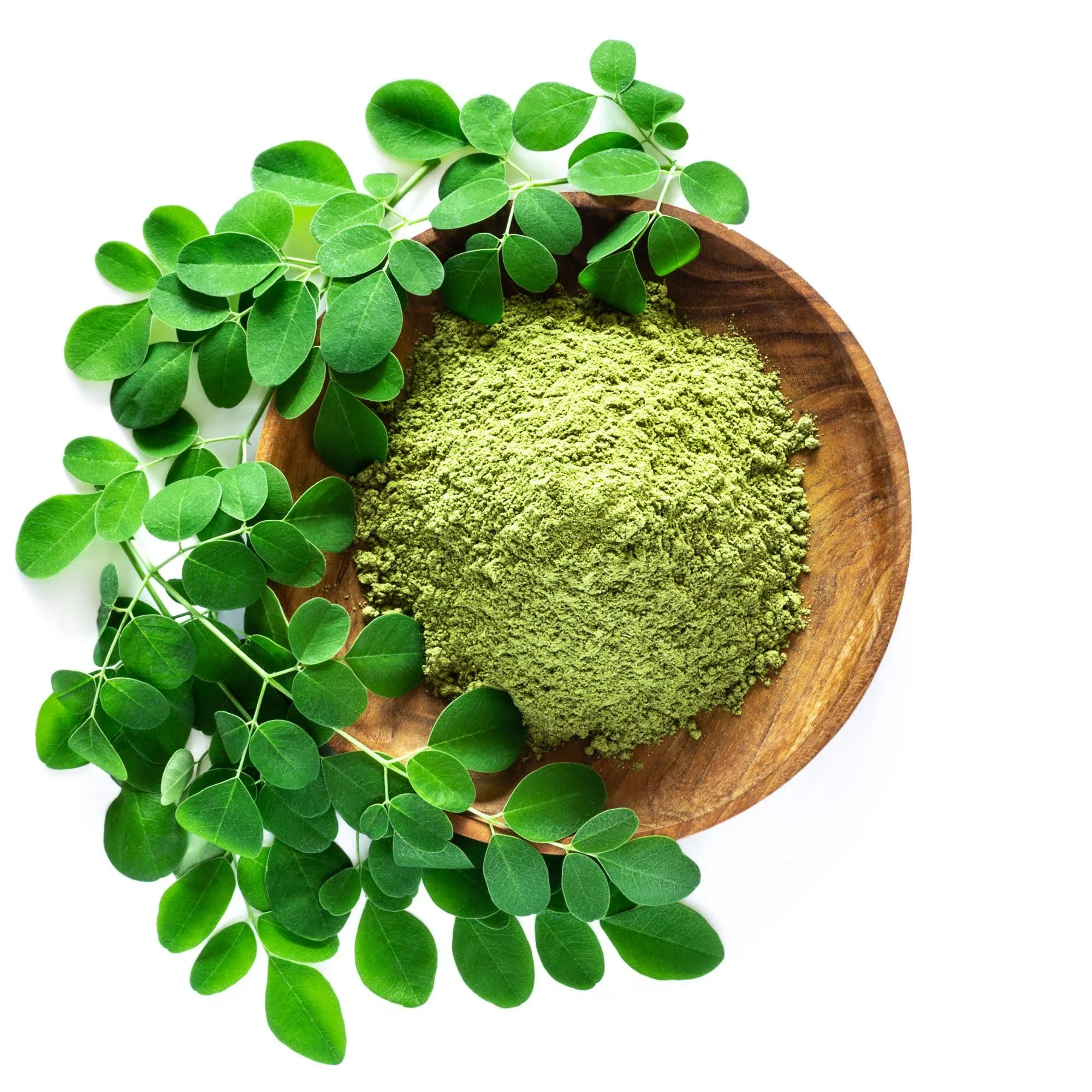 Moringa Seeds for Planting